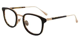 Black Tortoise