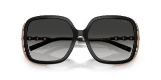 Coach Sunglasses HC8423U