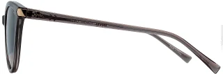 INVU Sunglasses INVU- 359