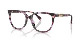 5612 Purple Tortoise