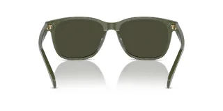Ralph Sunglasses RA5313U