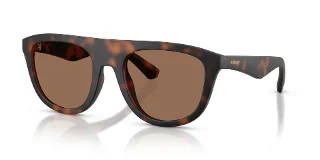 353673 Matte Dark Havana