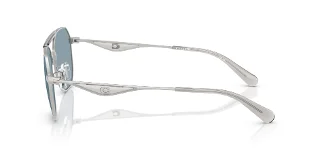 Coach Sunglasses HC7178