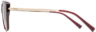 INVU Sunglasses INVU- 261