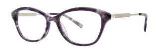 Violet Tortoise