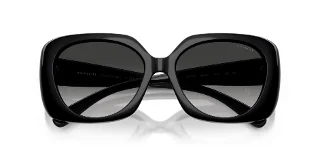 Coach Sunglasses HC8422U