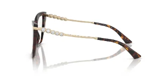 Jimmy Choo Eyeglasses JC3020B