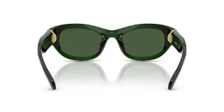 Swarovski Sunglasses SK6036U