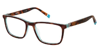 C02 TORTOISE