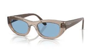 318172 Transparent Light Brown
