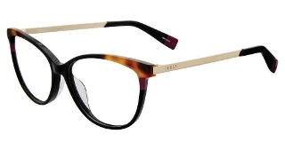 700Y Tortoise