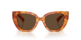 Burberry Sunglasses BE4503F