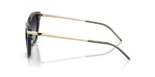 Emporio Armani Sunglasses EA4251