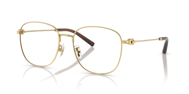 Coach Eyeglasses HC5179D