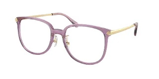 5825 Transparent Purple