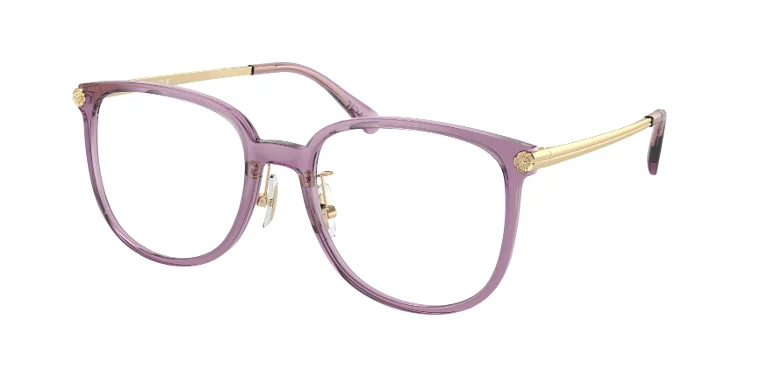 Coach Eyeglasses HC6241D
