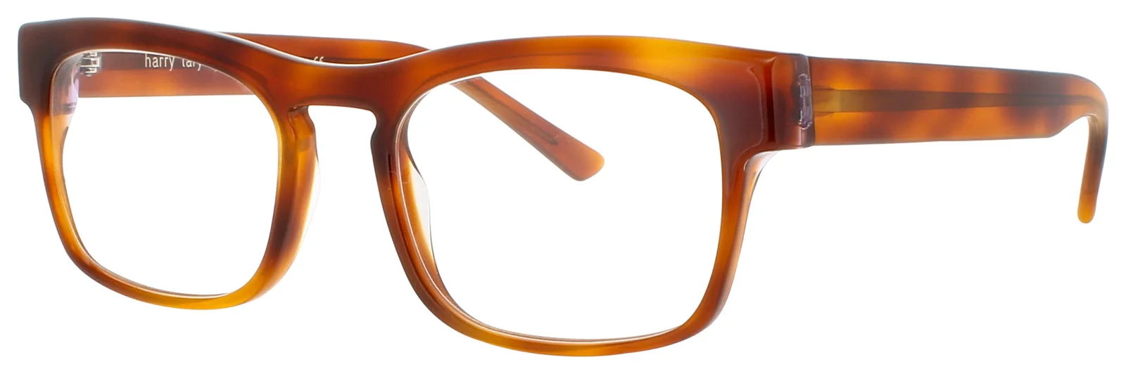 Harry Lary Eyeglasses CONFORMITY