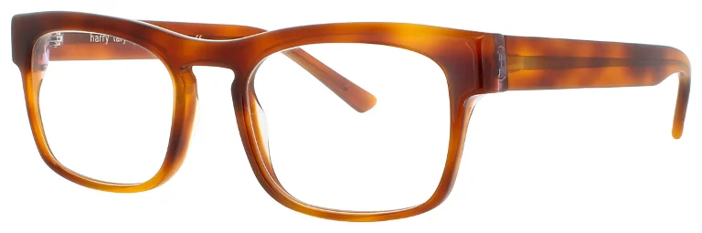 Harry Lary Eyeglasses CONFORMITY