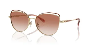 900513 Shiny Light Gold/Nutmeg