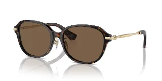 300273 Dark Havana