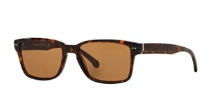 501673 Tortoise