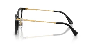 Swarovski Eyeglasses SK2051F