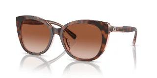 Coach Sunglasses HC8365U
