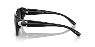Coach Sunglasses HC8407U