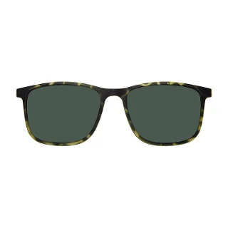 GN Green