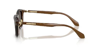 Giorgio Armani Sunglasses AR8257