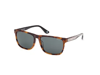 52N Dark Havana/Green