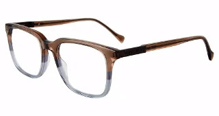 Brown Gradient (0V99)