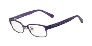 3093 Purple/Lavender