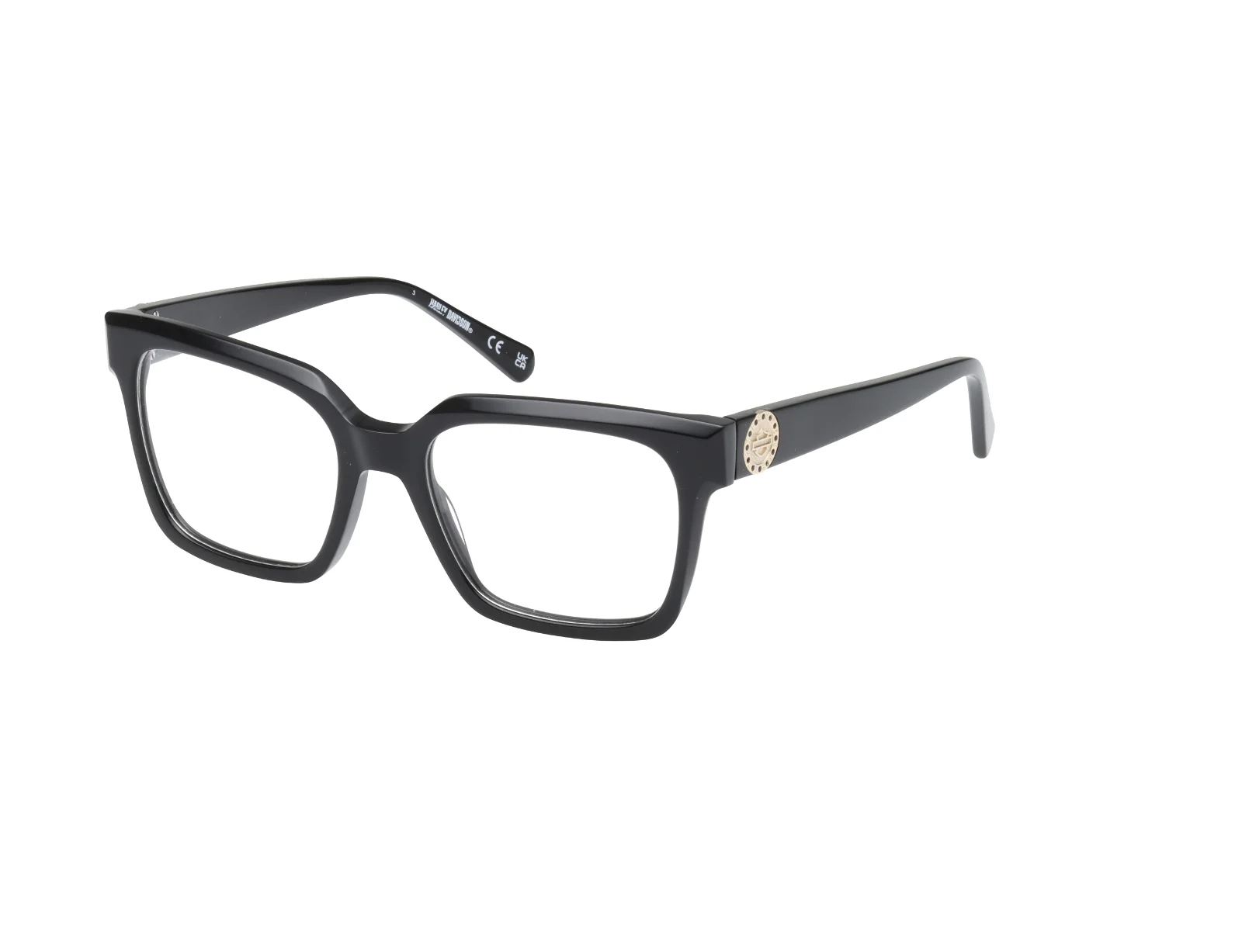 Harley Davidson Eyeglasses HD50107