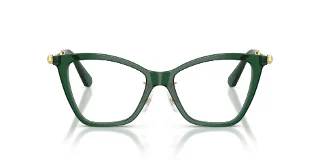 Swarovski Eyeglasses SK2051F