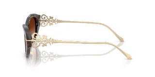 Ralph Lauren Sunglasses RL8227U