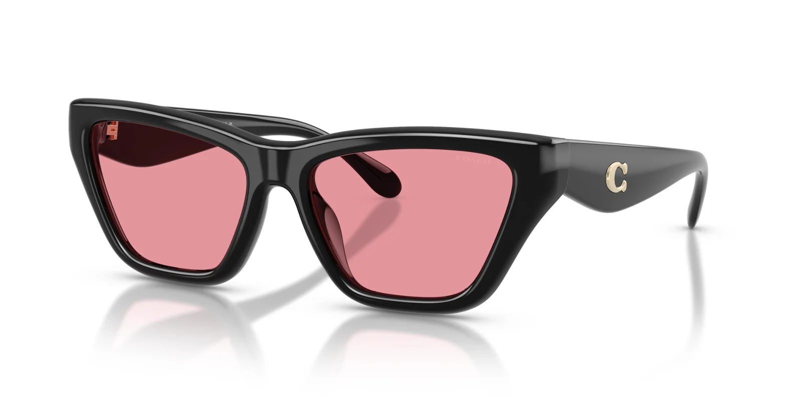Coach Sunglasses HC8449U