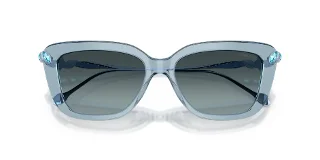 Swarovski Sunglasses SK6065U