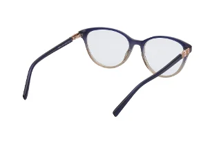 Viva Eyeglasses VV50024