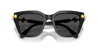 Swarovski Sunglasses SK6041F