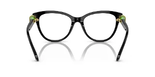 Swarovski Eyeglasses SK2004