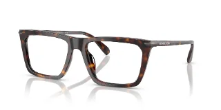 3006 Dark Tortoise