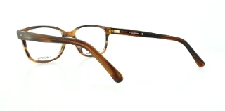 Claiborne Eyeglasses 300