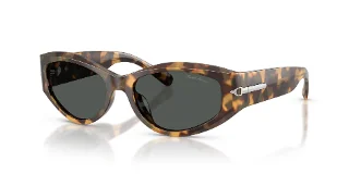 617887 Spotty Havana