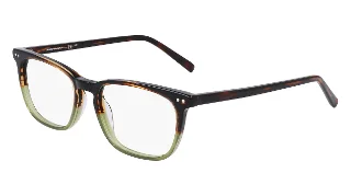 209 Tortoise/Green Gradient