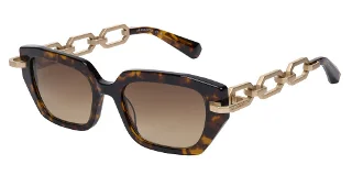 155-Als-5051 Sun Callisto Dark Tortoiseshell