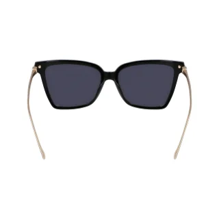 Salvatore Ferragamo Sunglasses SF2036S