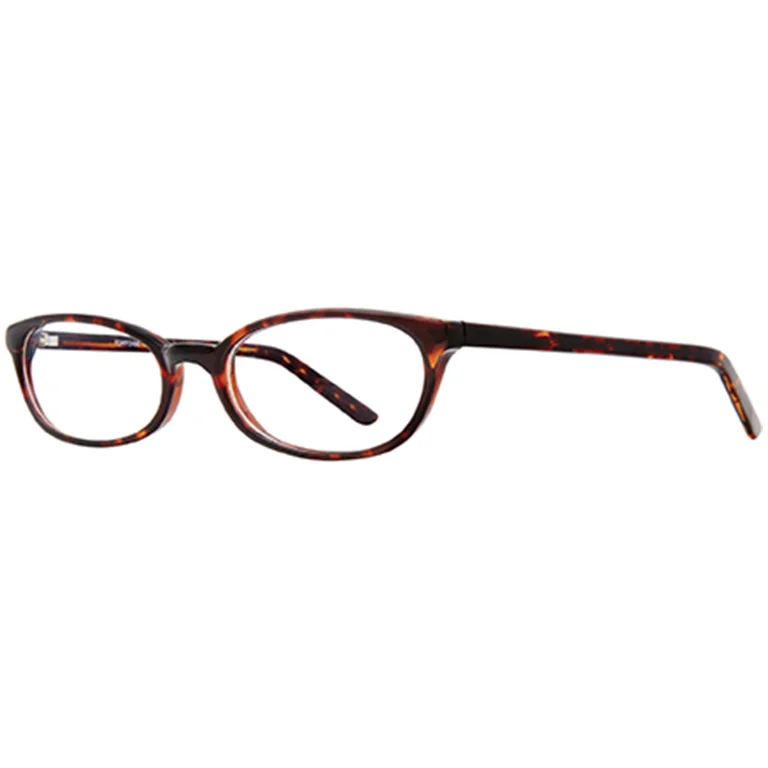 Stylewise Eyeglasses SW439