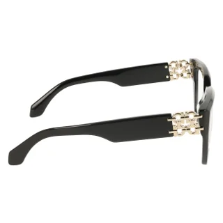 Salvatore Ferragamo Eyeglasses SF3041E