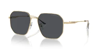 Emporio Armani Sunglasses EA2154D